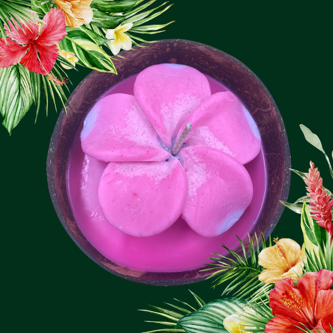 Frangipani & Coconut Shell Candle Set (Pink with white tips) - Coconut Scented