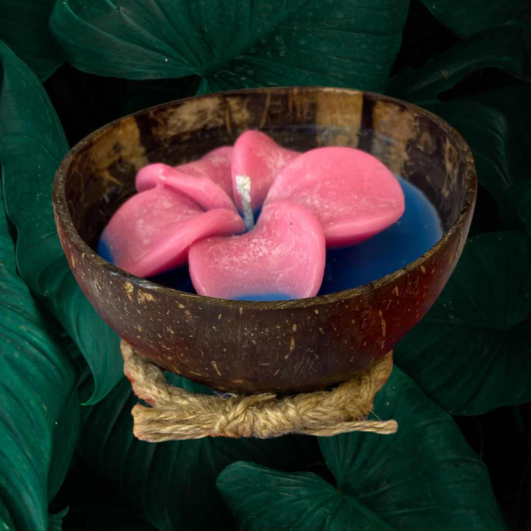 Frangipani & Coconut Shell Candle Set- Blue/Pink - Vanilla Scented