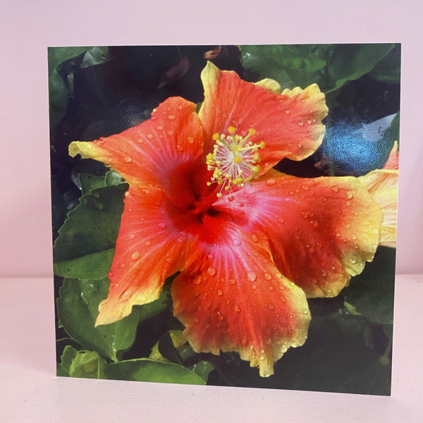 Hibiscus - Art Card by Tuafale Tanoa'i