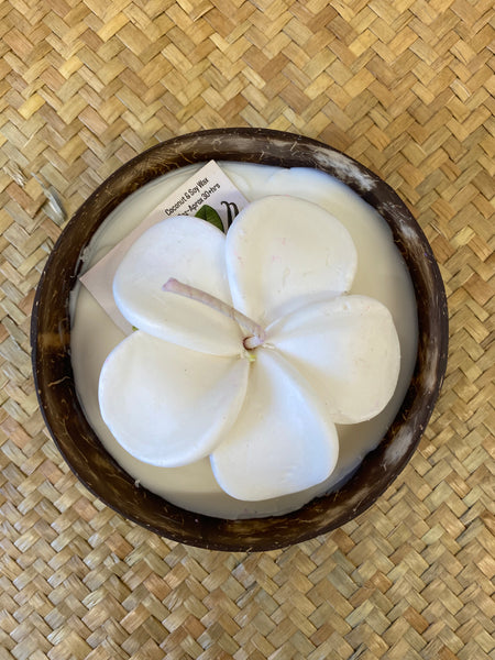 Frangipani & Coconut Shell Candle Set (White) - Coconut Scented