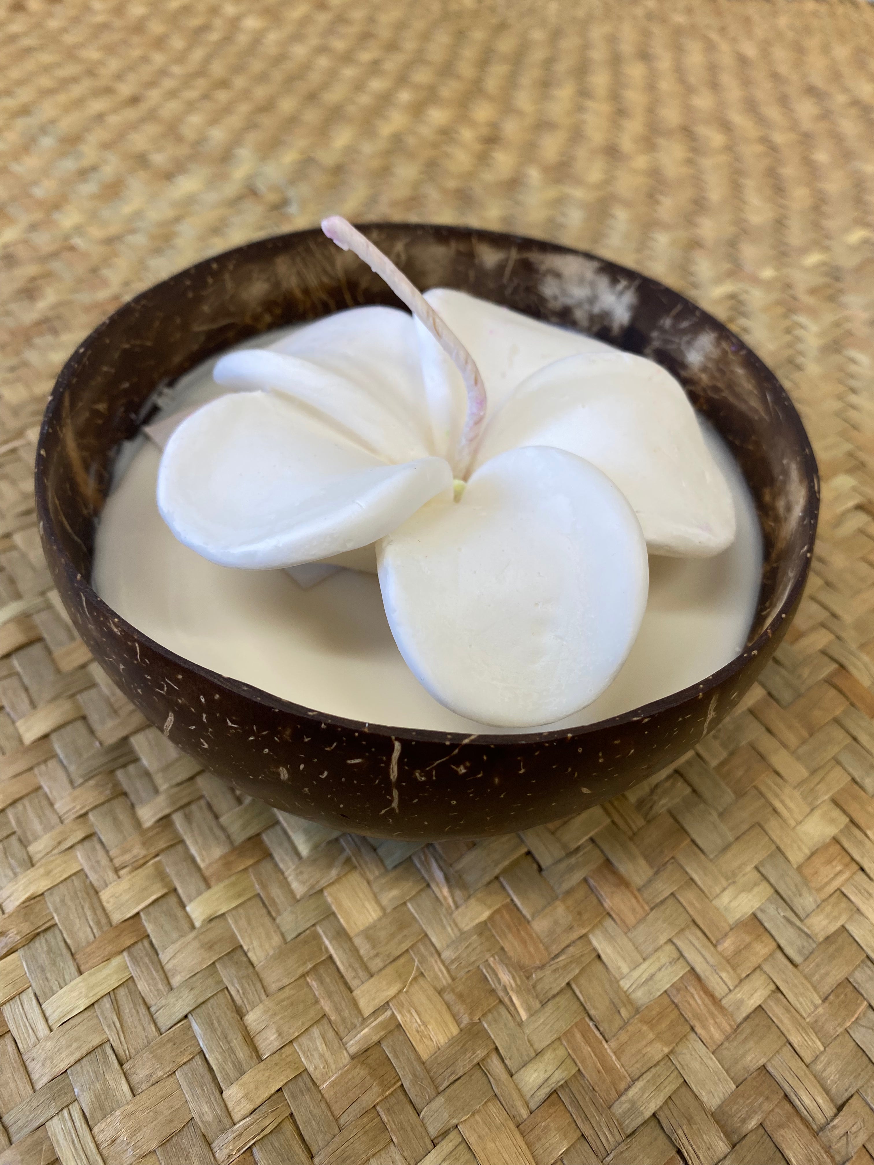 Frangipani & Coconut Shell Candle Set (White) - Coconut Scented