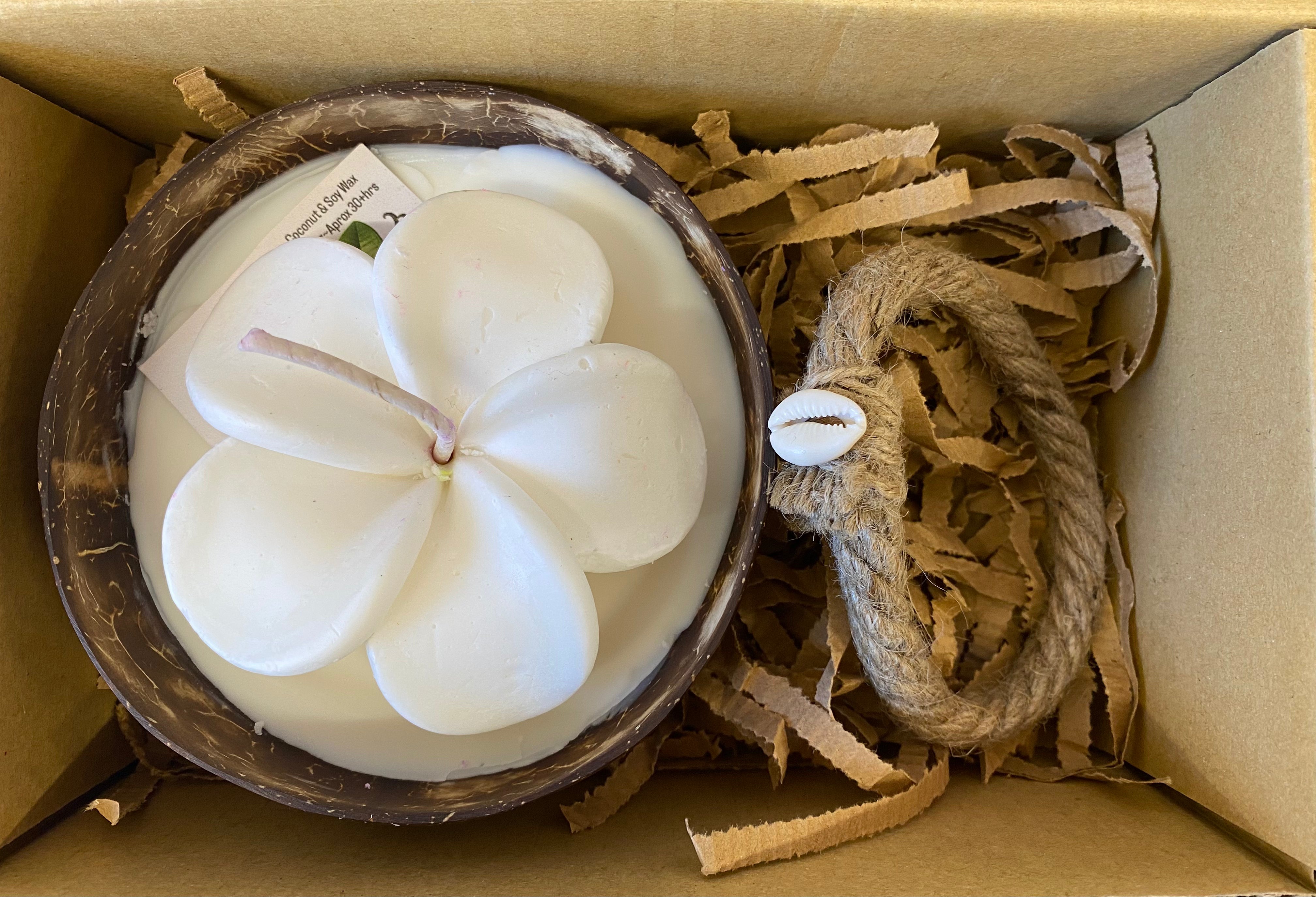 Frangipani & Coconut Shell Candle Set (White) - Coconut Scented