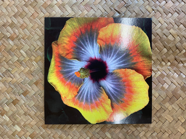 Orange Hibiscus - Art Card by Tuafale Tanoa'i