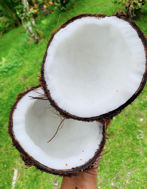 Handmade Coconut Soap, Kula Palms
