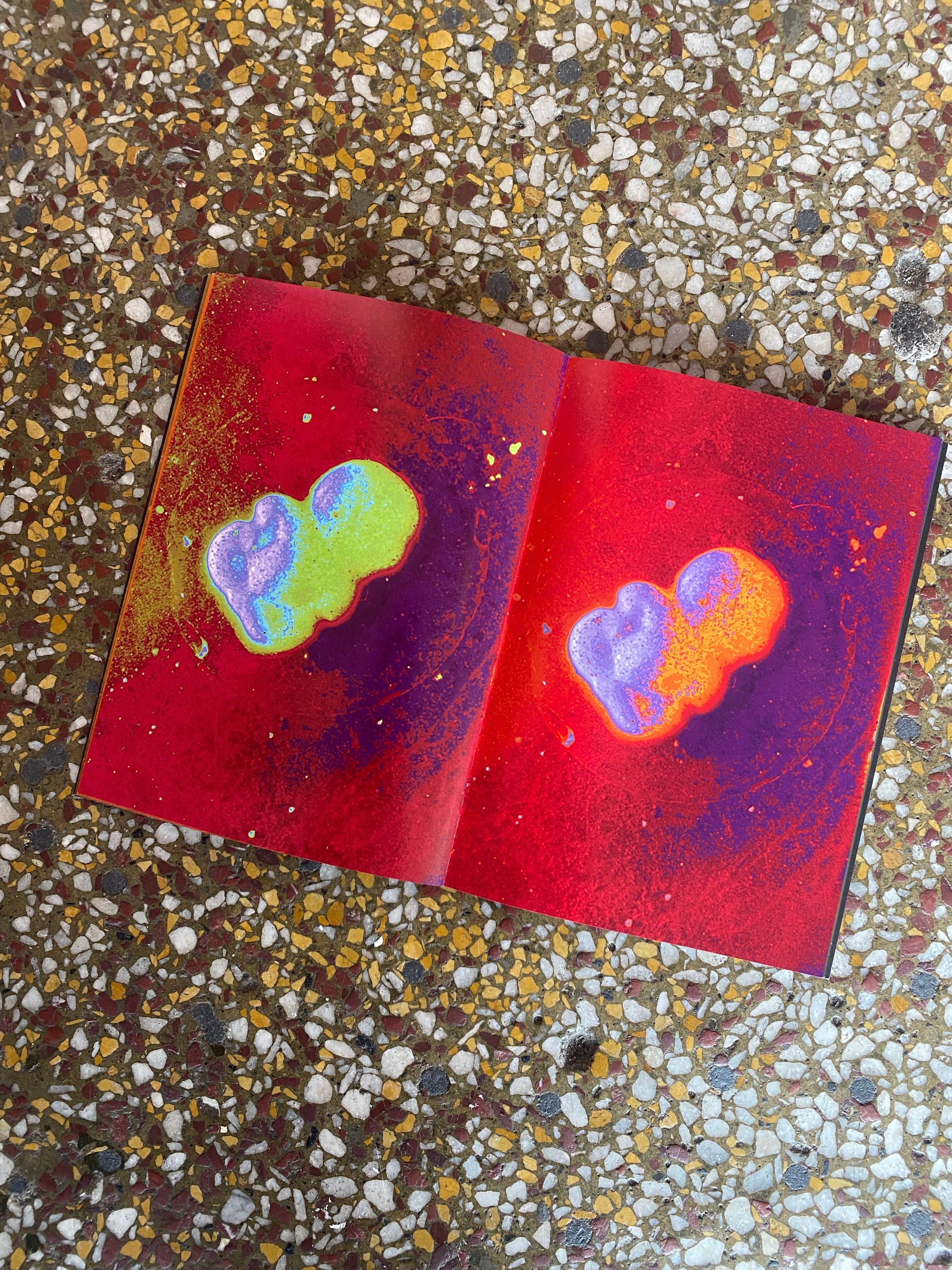 Te Ao Zine by Piupiu Maya Turei
