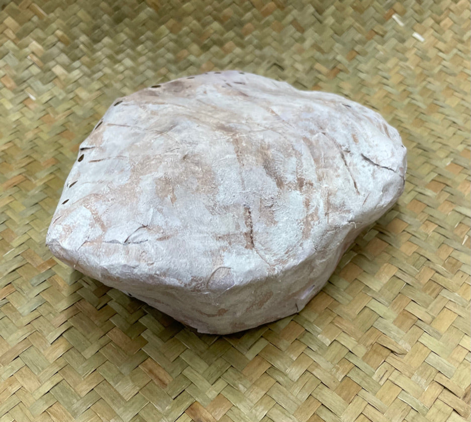 Small Paua paper mache kaimoana sculpture by Ahi Nyx