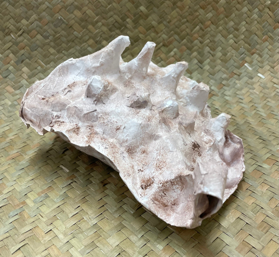 Conch paper mache kaimoana sculpture by Ahi Nyx