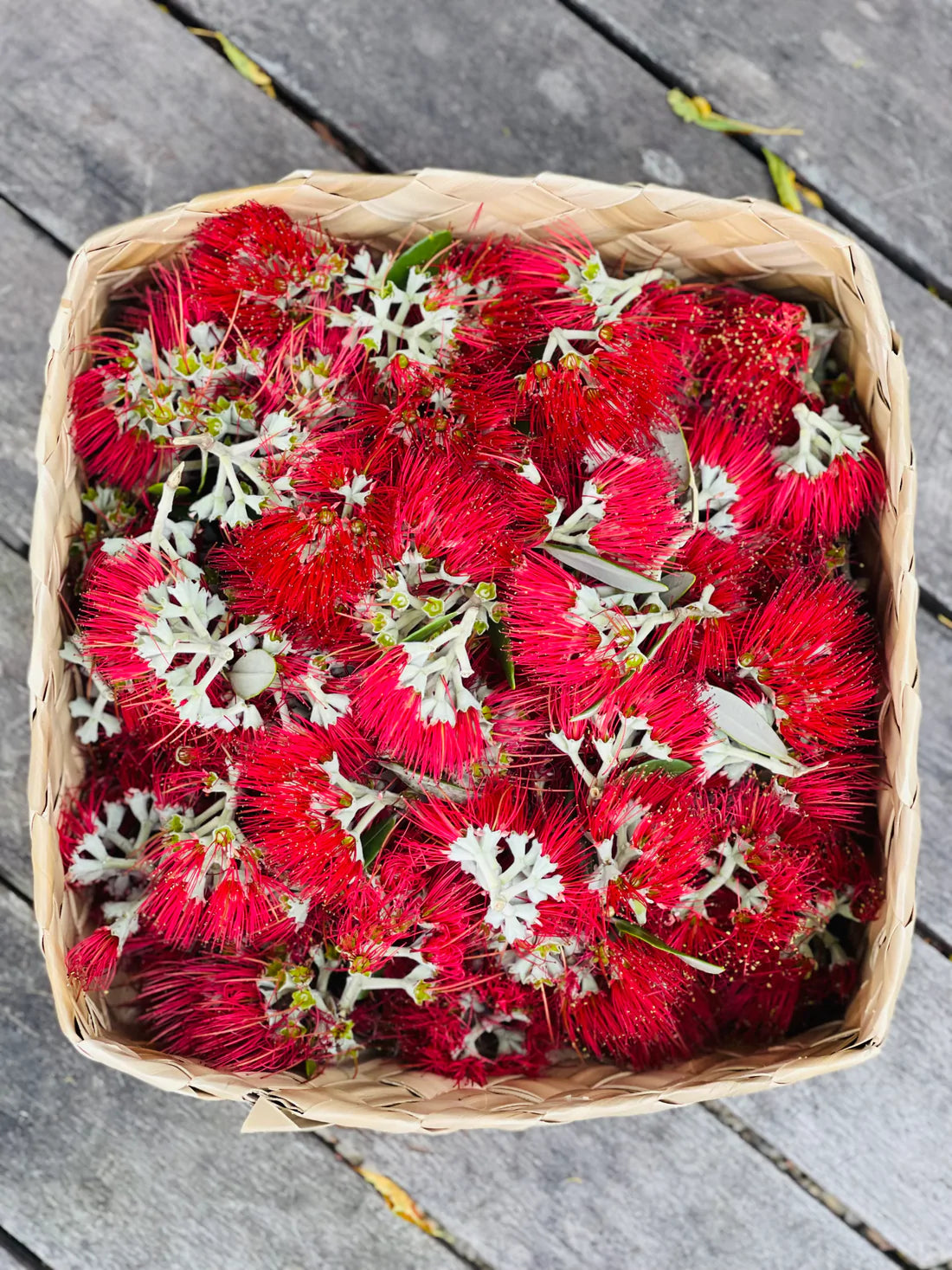 Pōhutukawa Soap by Mauri2Mauri