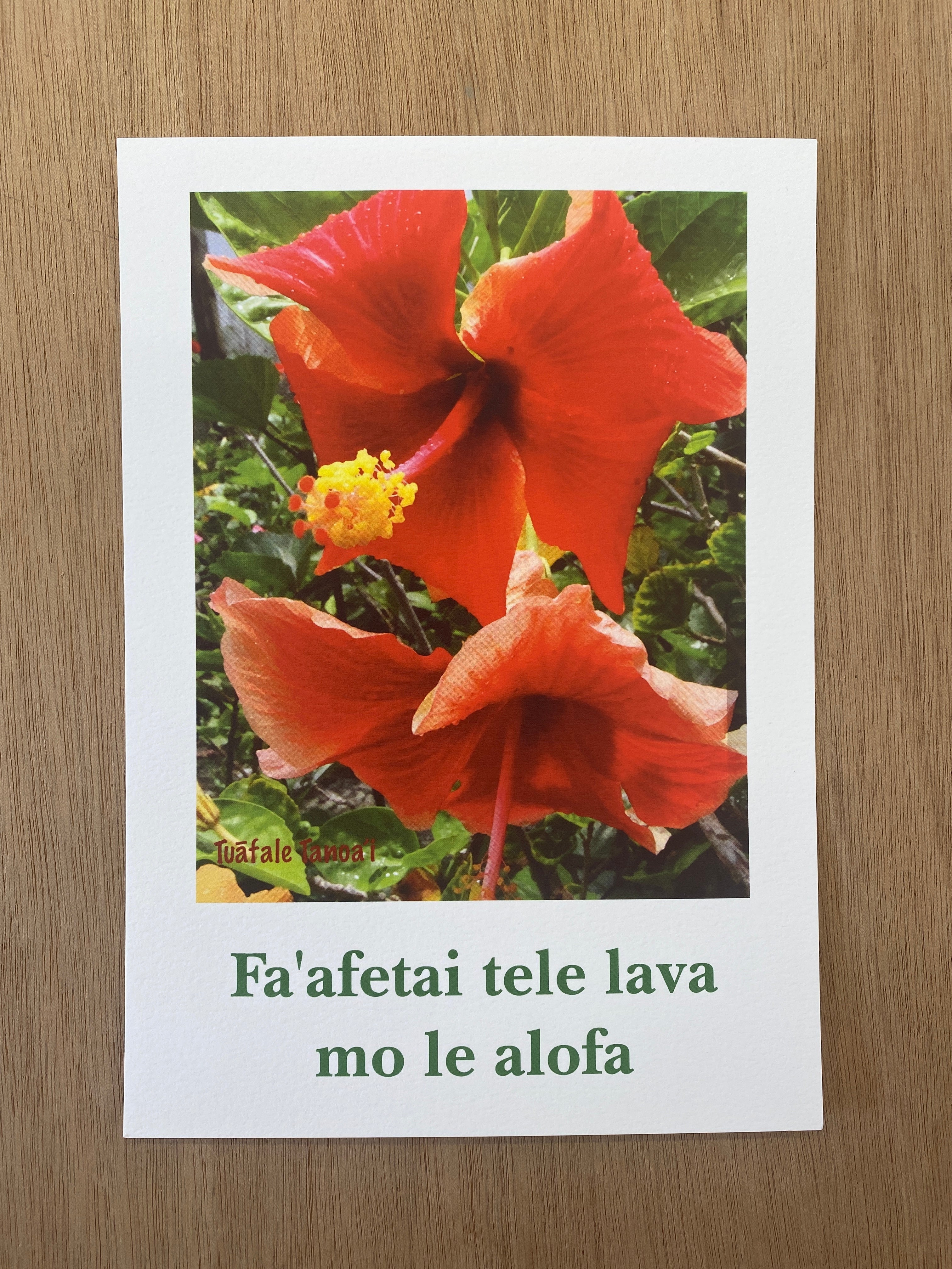 Hibiscus Postcard by Tuafale Tanoa'i