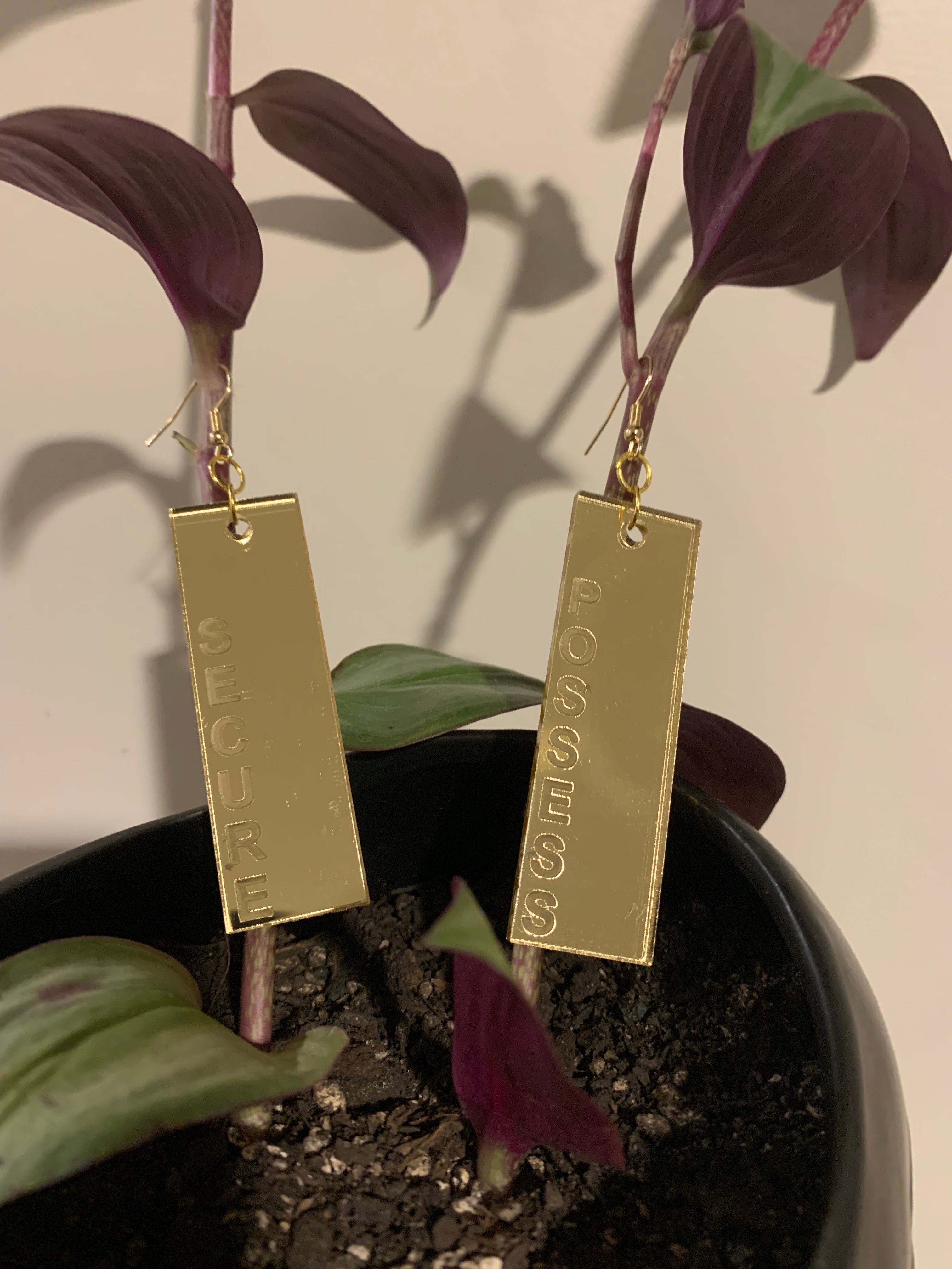 Secure / Possess - Etched Earrings by Darcell Apelu