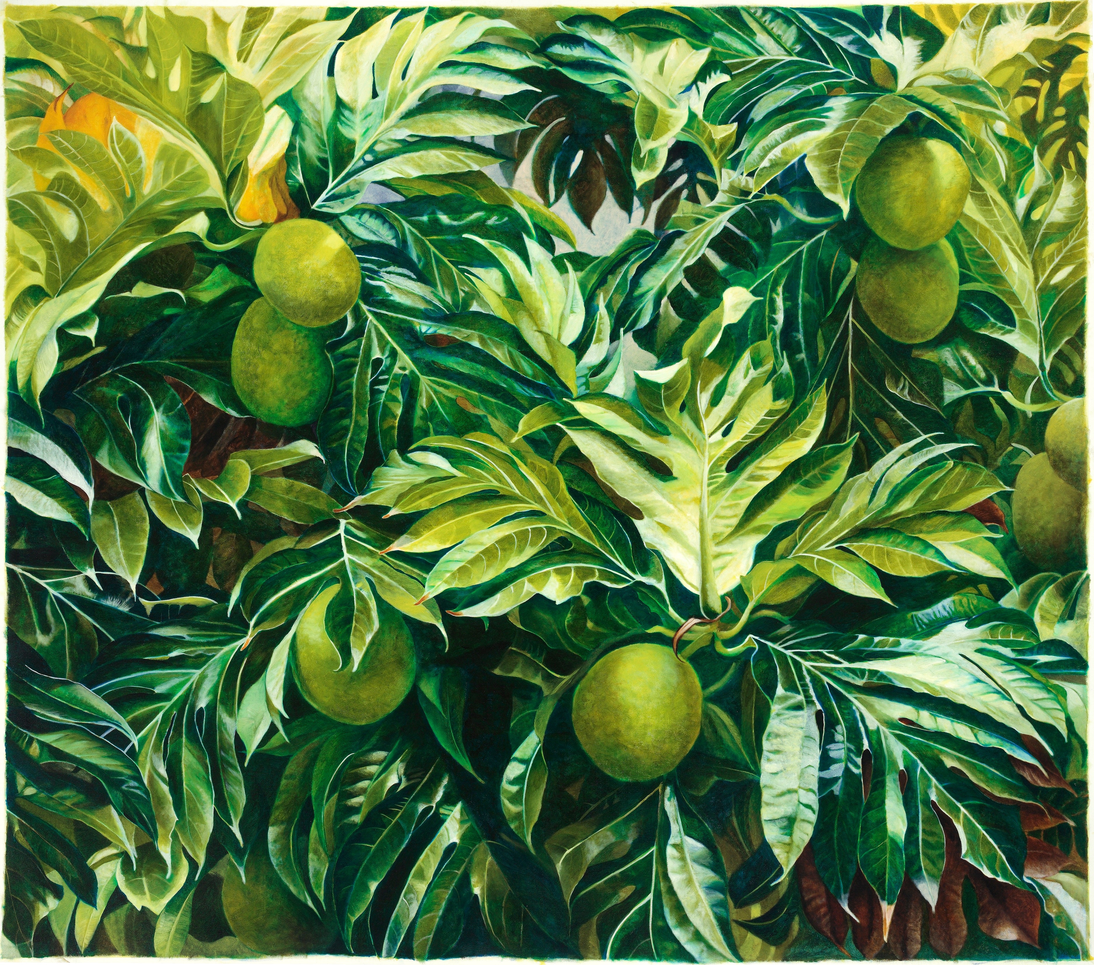 Kuru print by Sylvia Marsters